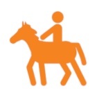 Equestrian - Dressage